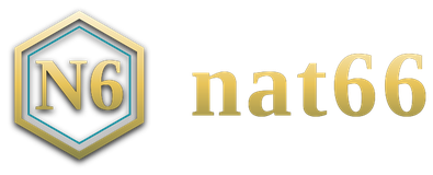 nat66 logo
